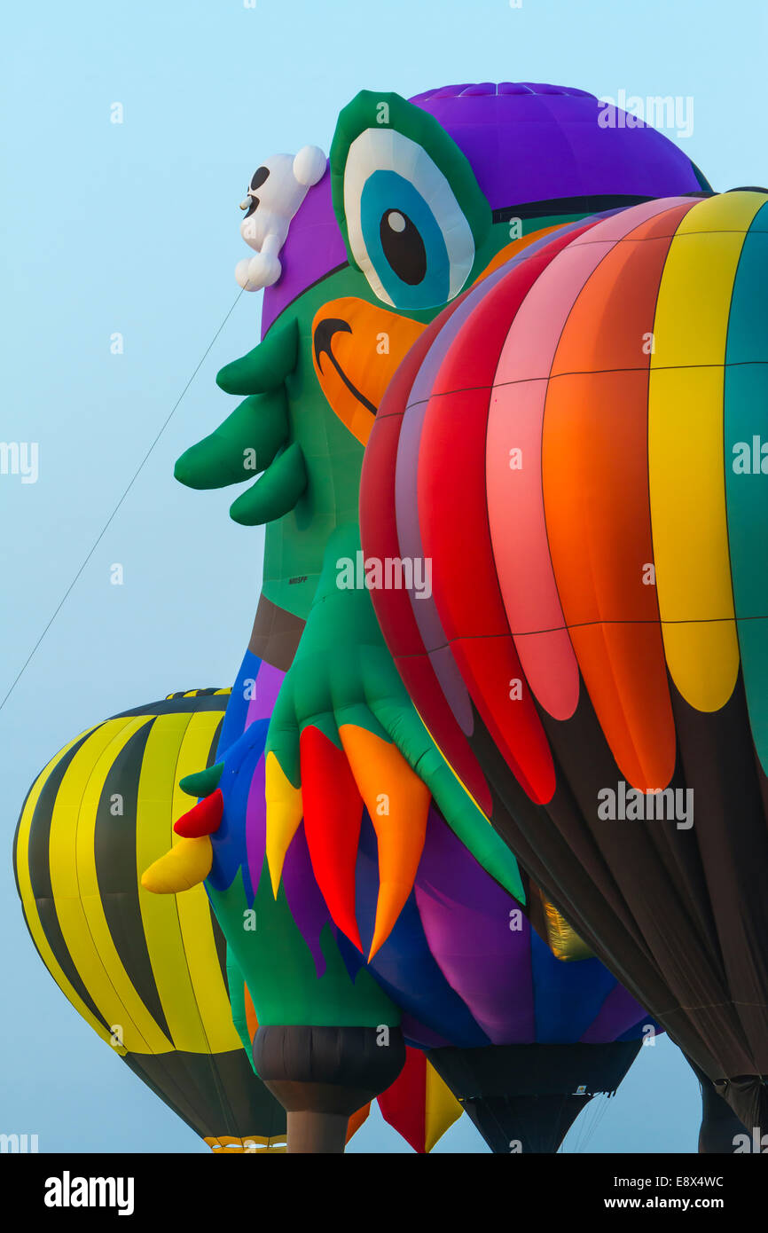 Hot air balloons at the 2014 National Hot Air Balloon Classic in