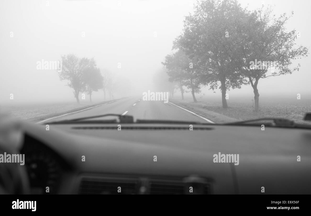 Car driving in the Fog Road Stock Photo Alamy