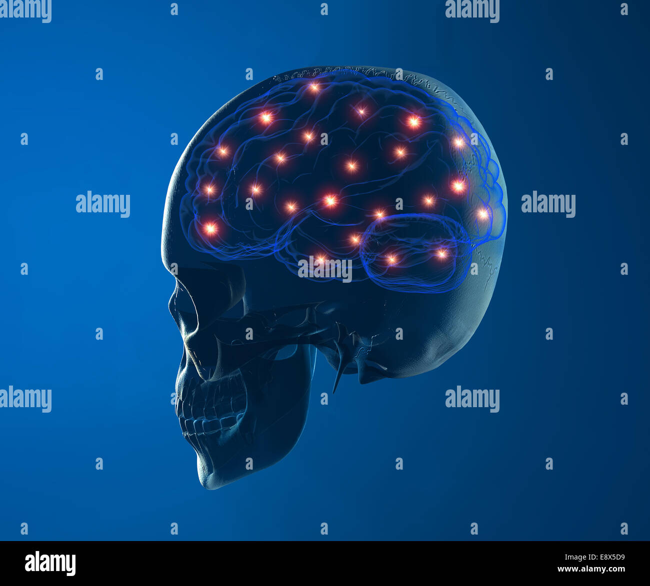 Neurons in brain hi-res stock photography and images - Alamy