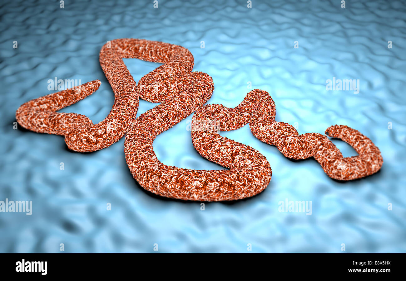 3D Ebola virus under a microscope, danger, contagion, epidemic Stock ...