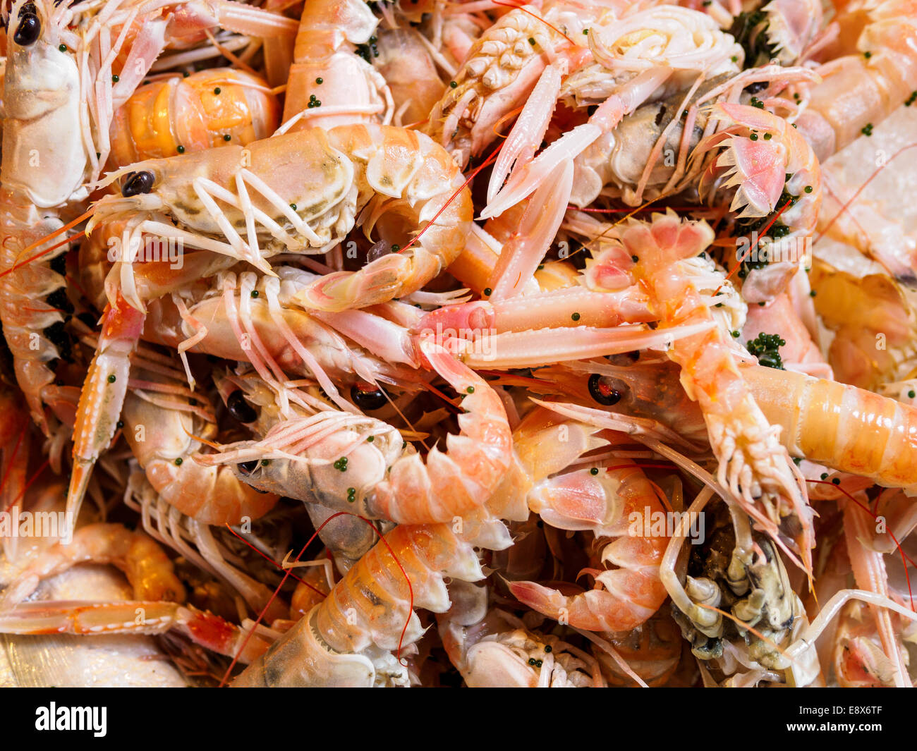Prawn prawns hires stock photography and images Alamy