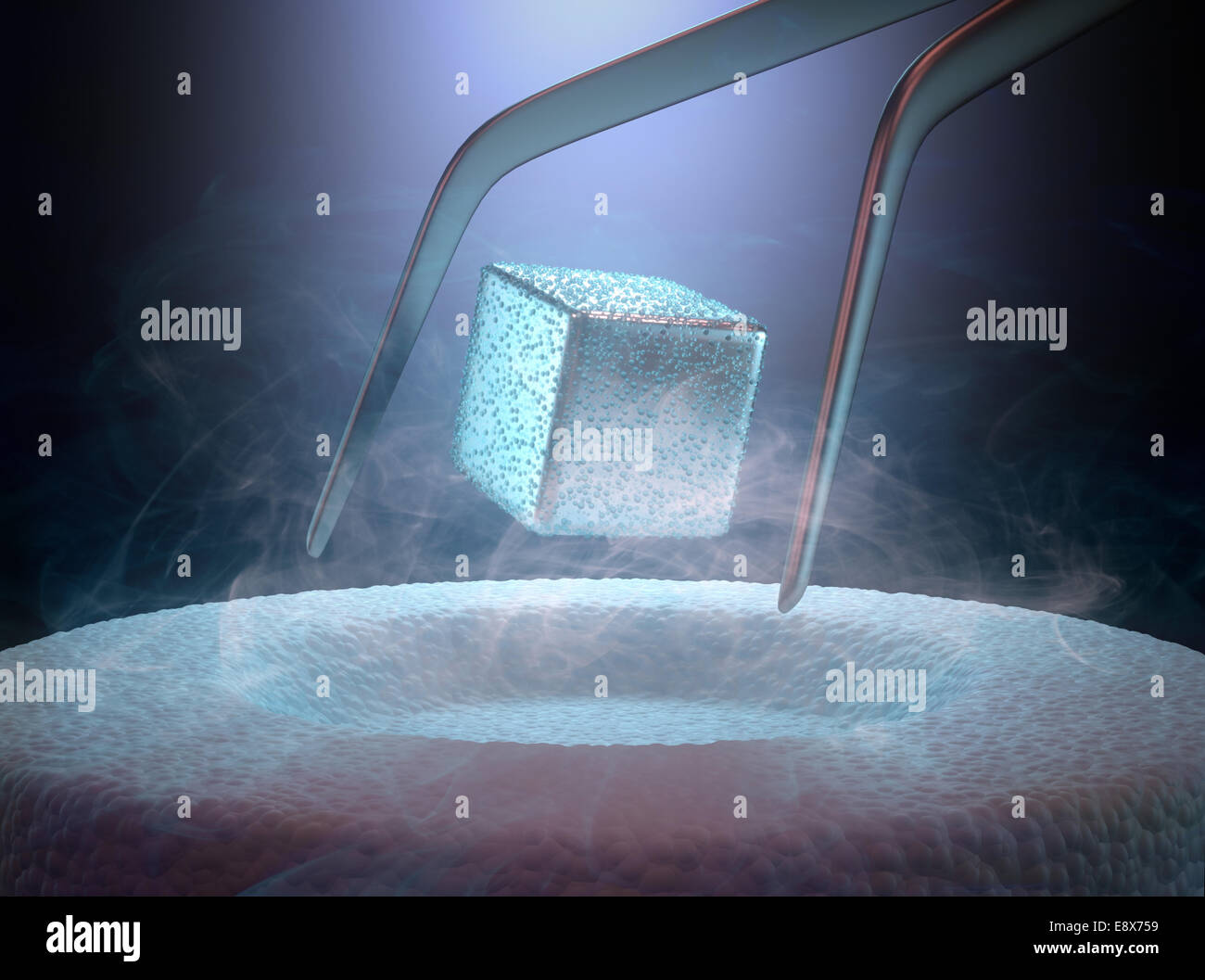 Image concept of magnetic levitating above a high-temperature superconductor, cooled with liquid nitrogen. Stock Photo