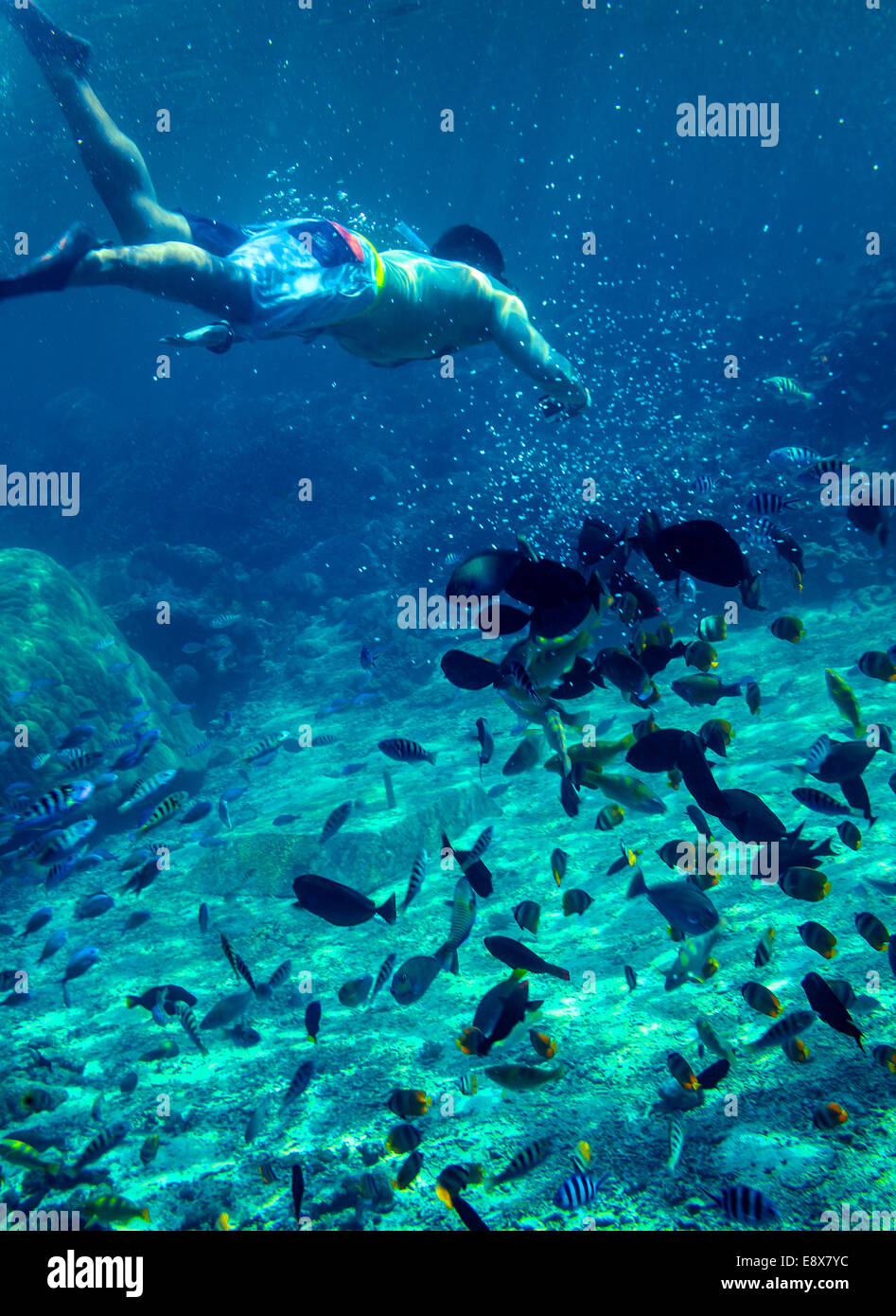 Snorkeling hi-res stock photography and images - Alamy