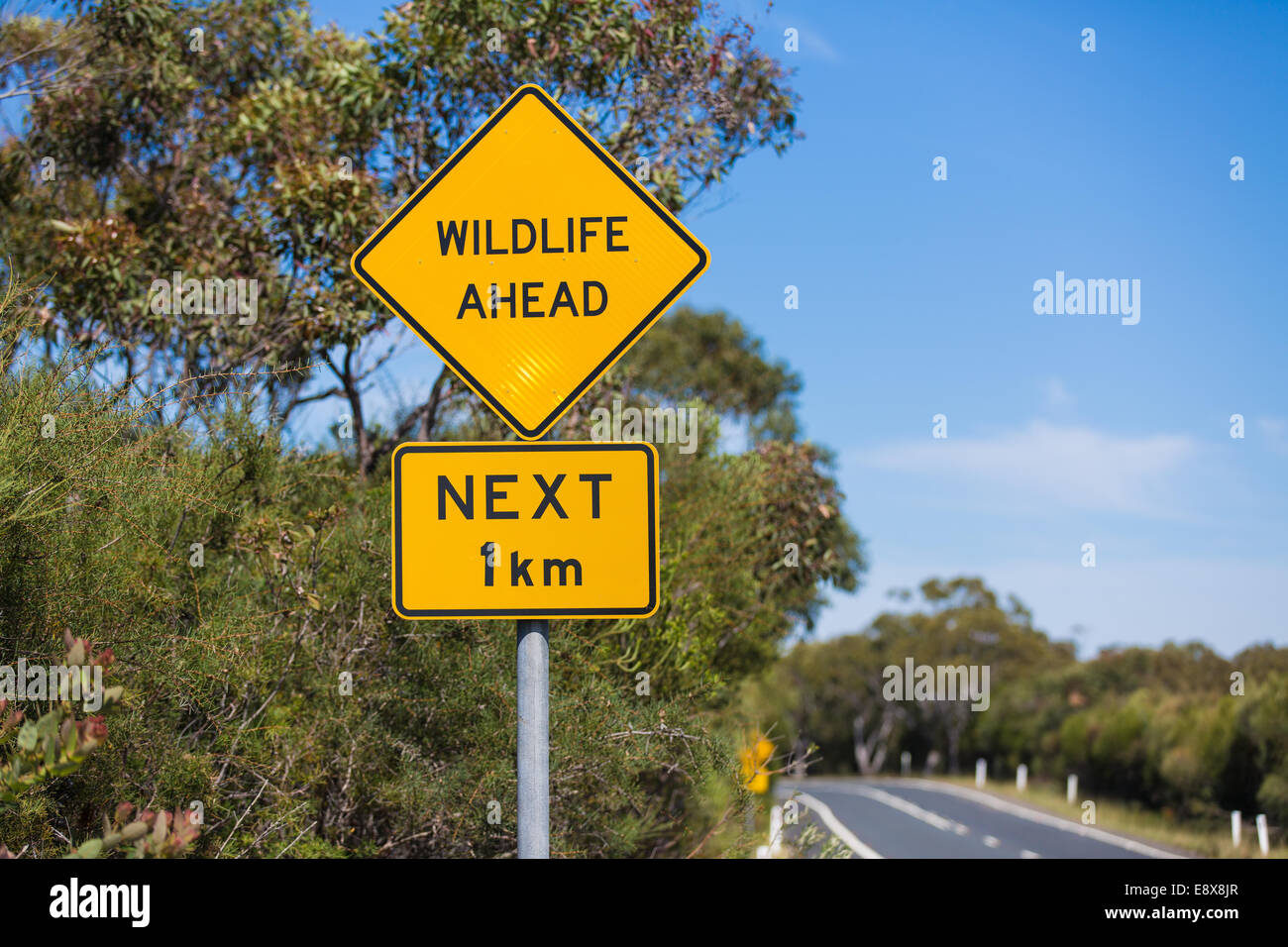 A 'Wildlife Ahead' sign next to a remote Stock Photo
