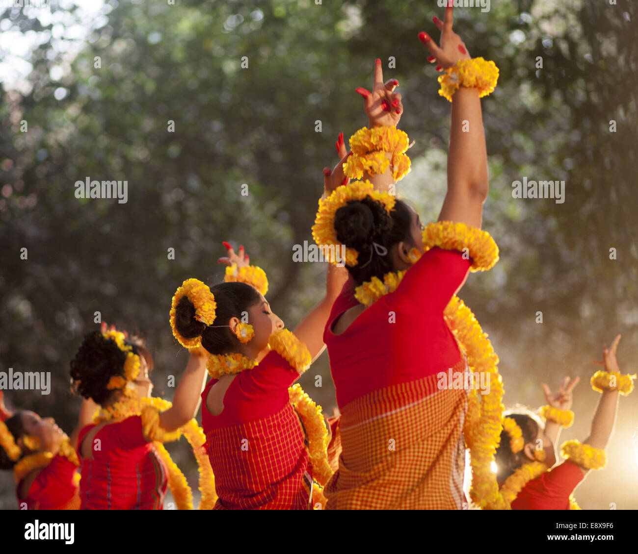 Festoon falls hires stock photography and images Alamy