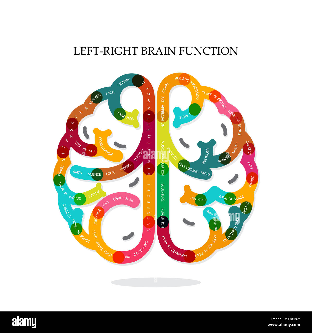 Creative infographics left and right brain function ideas on background,design for poster,flyer,cover,brochure Stock Photo