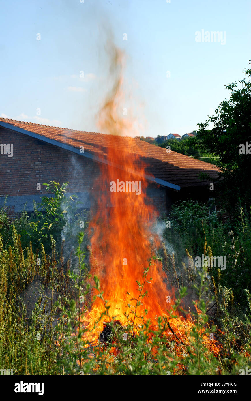 Fire in green grass Stock Photo