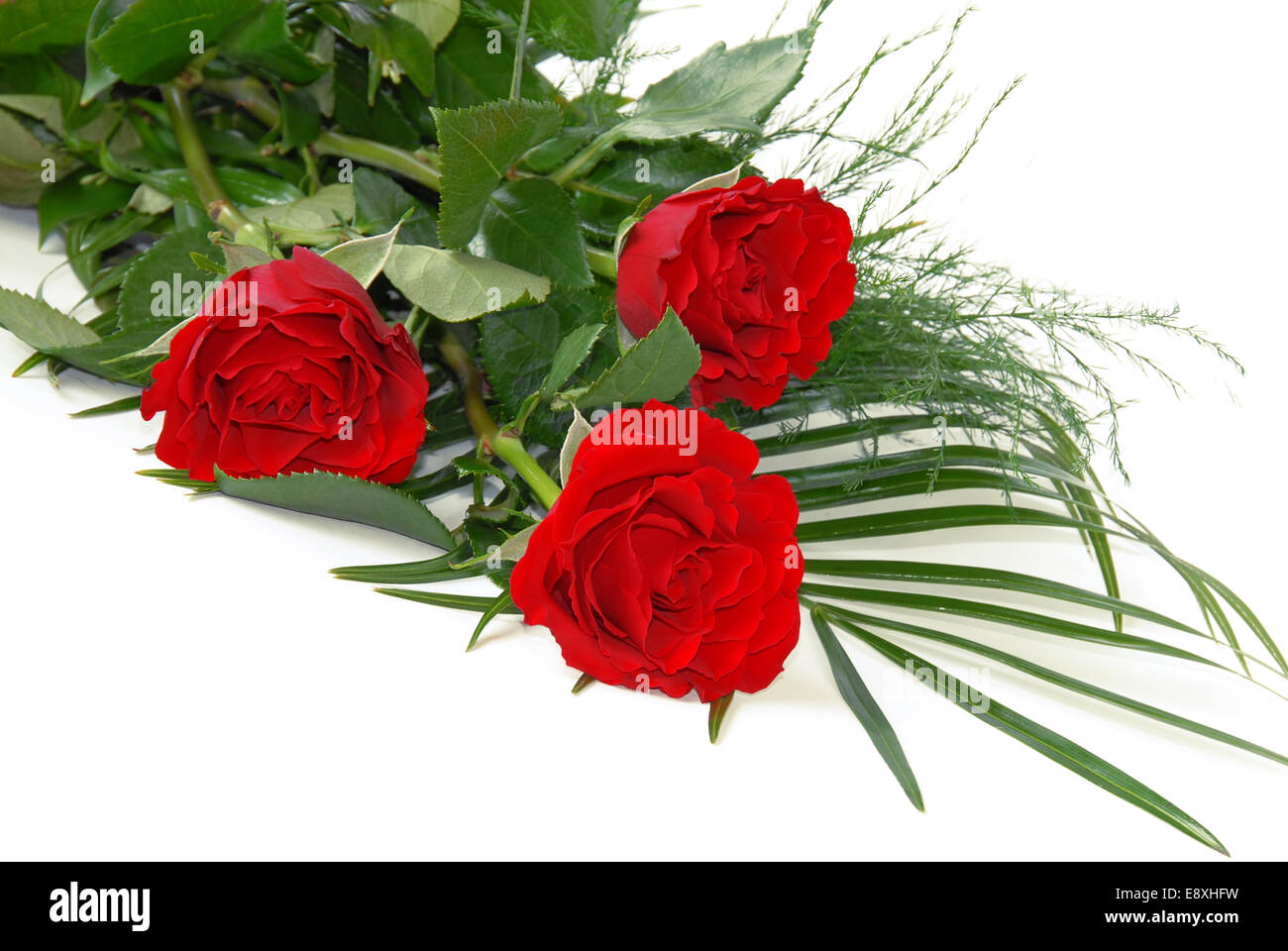 Dense roses hi-res stock photography and images - Alamy