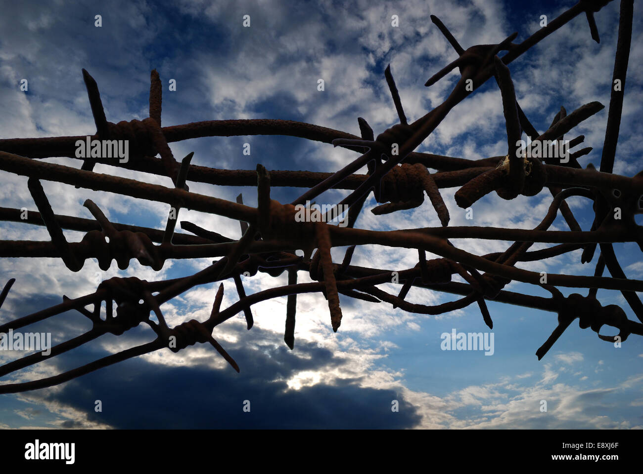 Barbed Wire Stock Photo