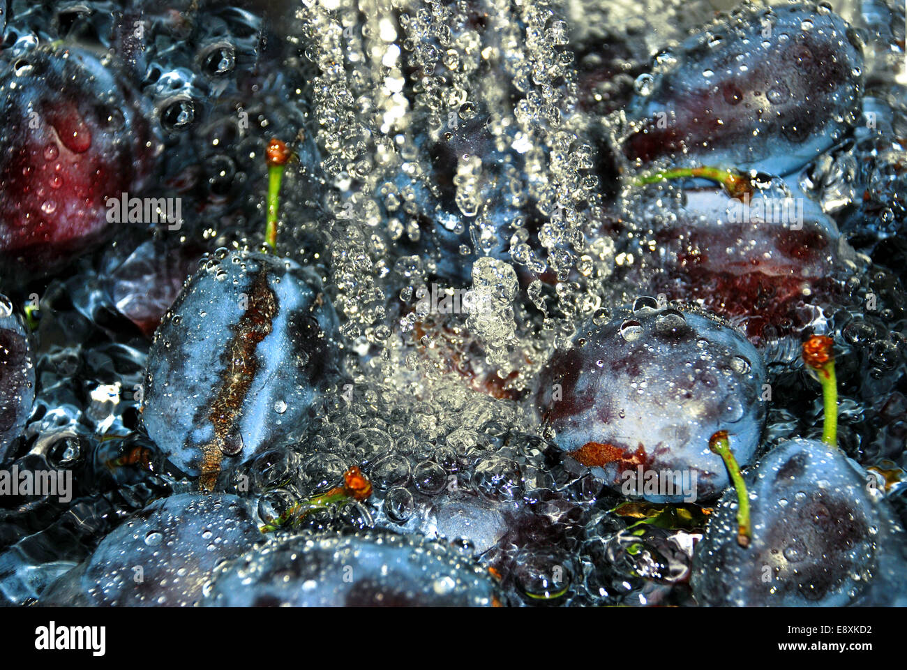 Sweating Plums Plum run hi-res stock photography and images - Alamy