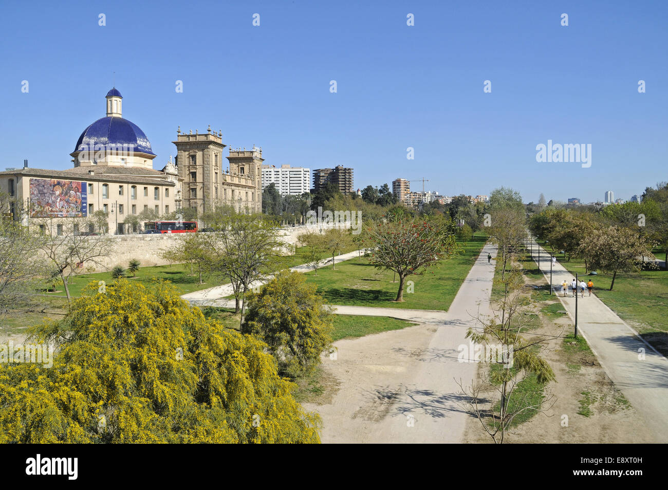 Museo de Bellas Artes Stock Photo