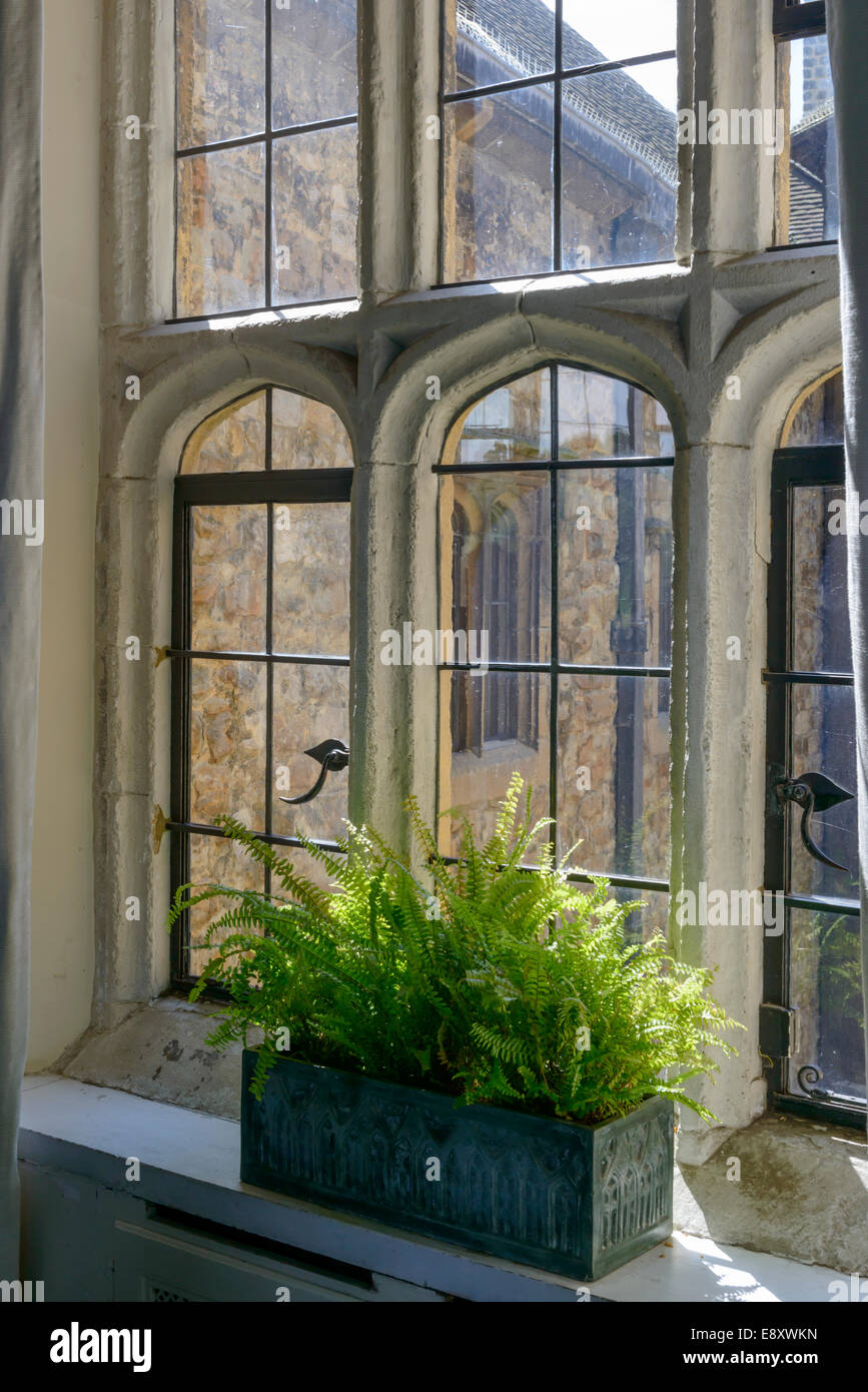 fern at stone window at Leeds castle, detail of stone framed window with stained glass and fern in pot at medieval castle Stock Photo