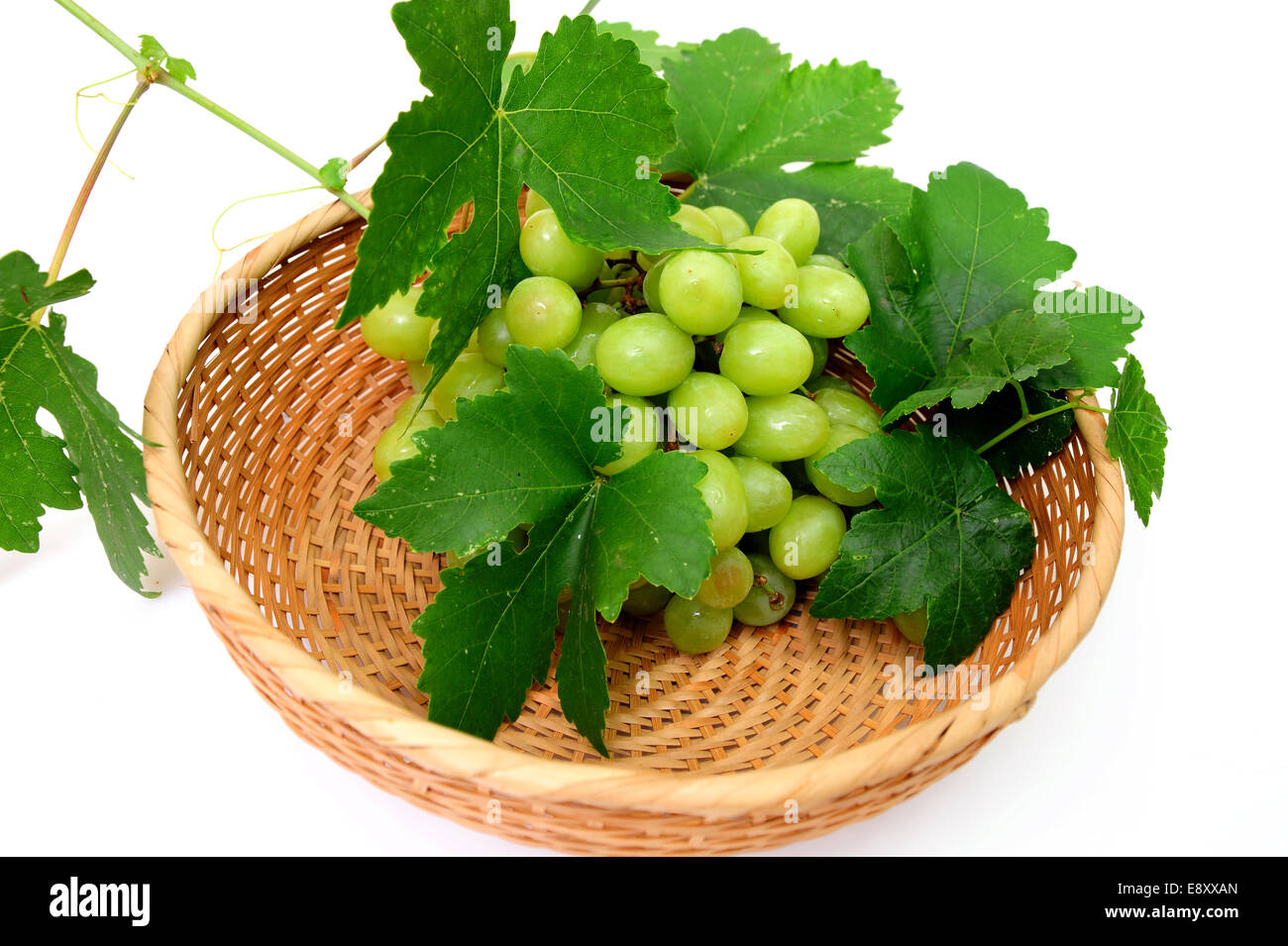 Green Seedless Grapes Stock Photo
