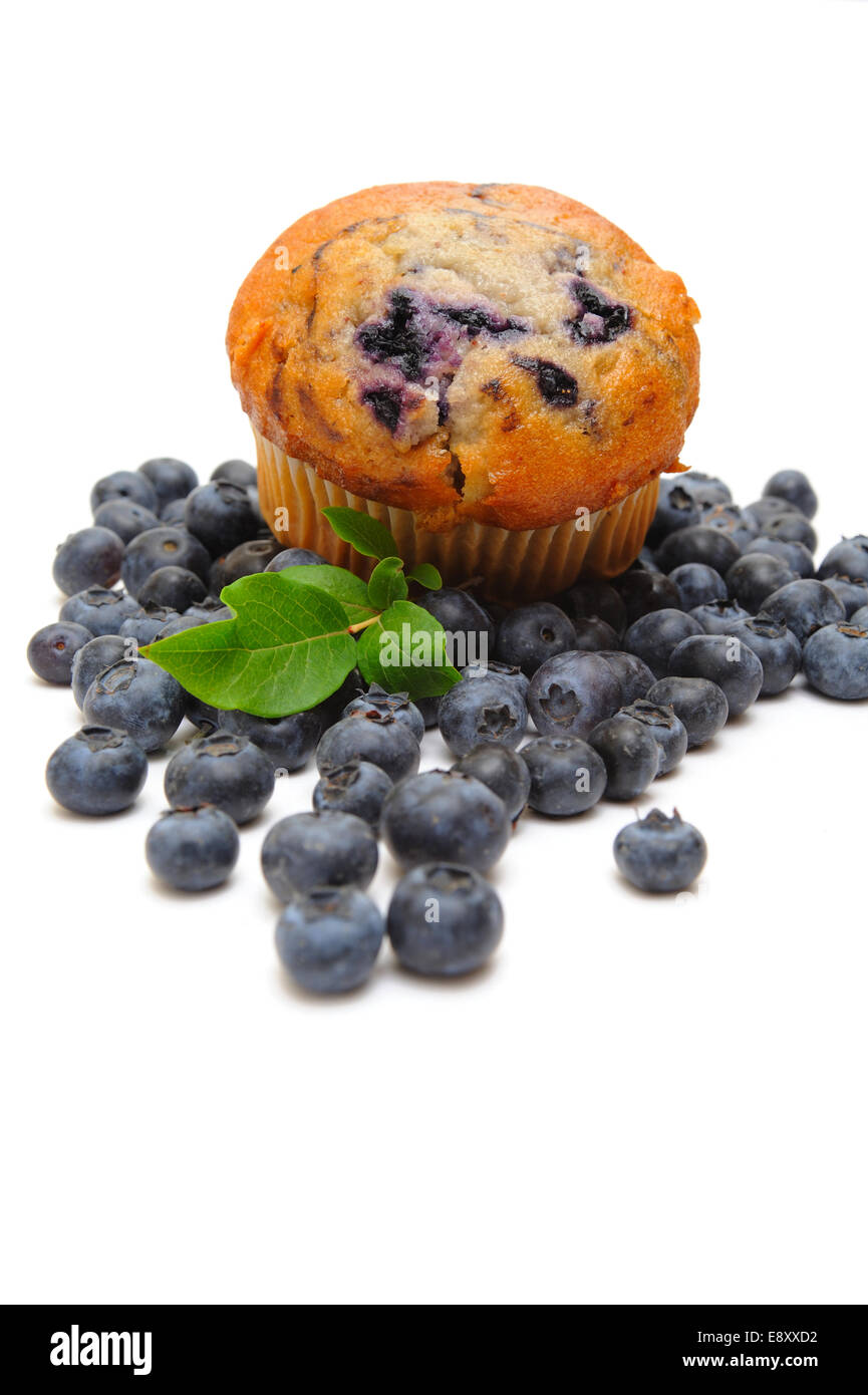 Heidelbeer muffin hi-res stock photography and images - Alamy