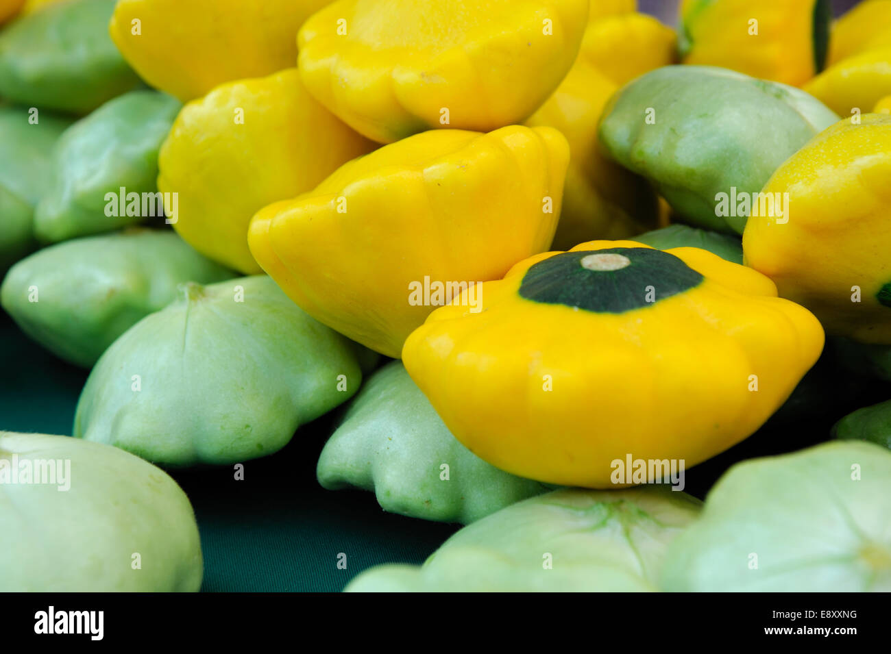Pattypan squash hires stock photography and images Alamy