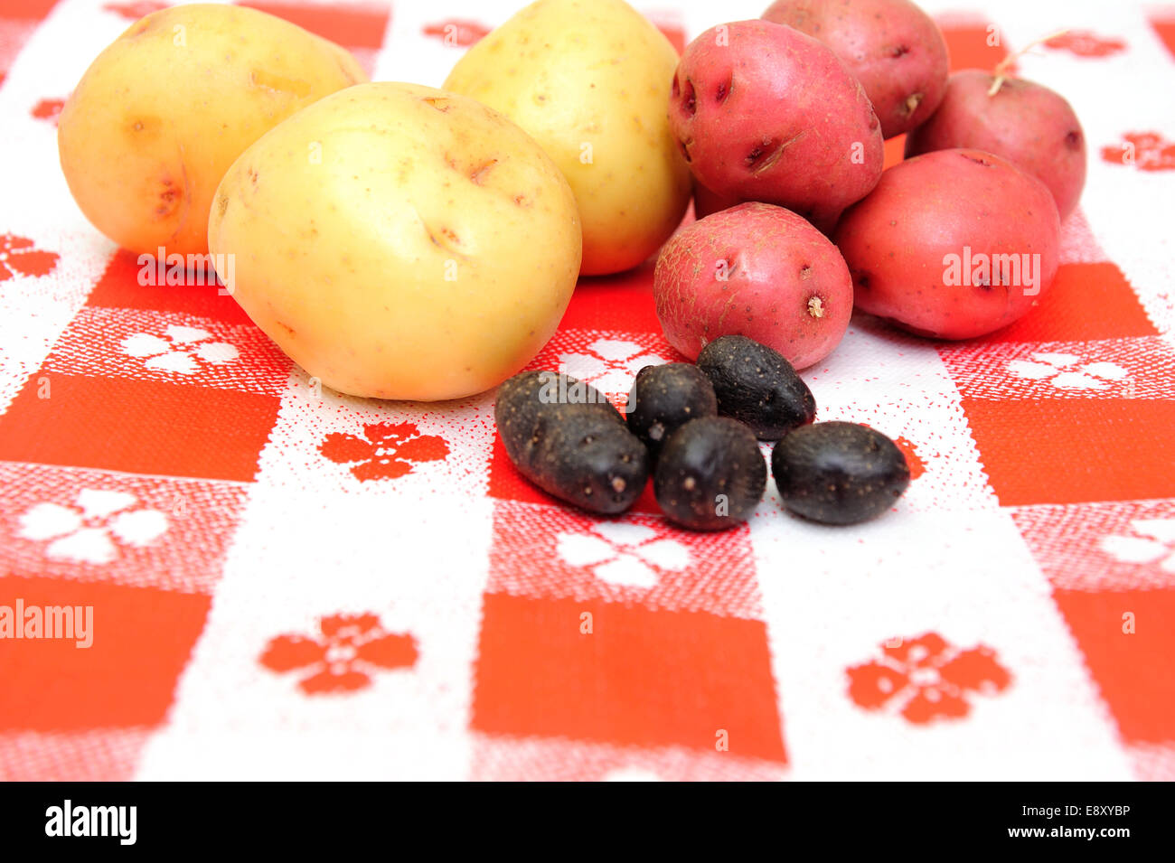 Red, white and purple peruvian potato Stock Photo