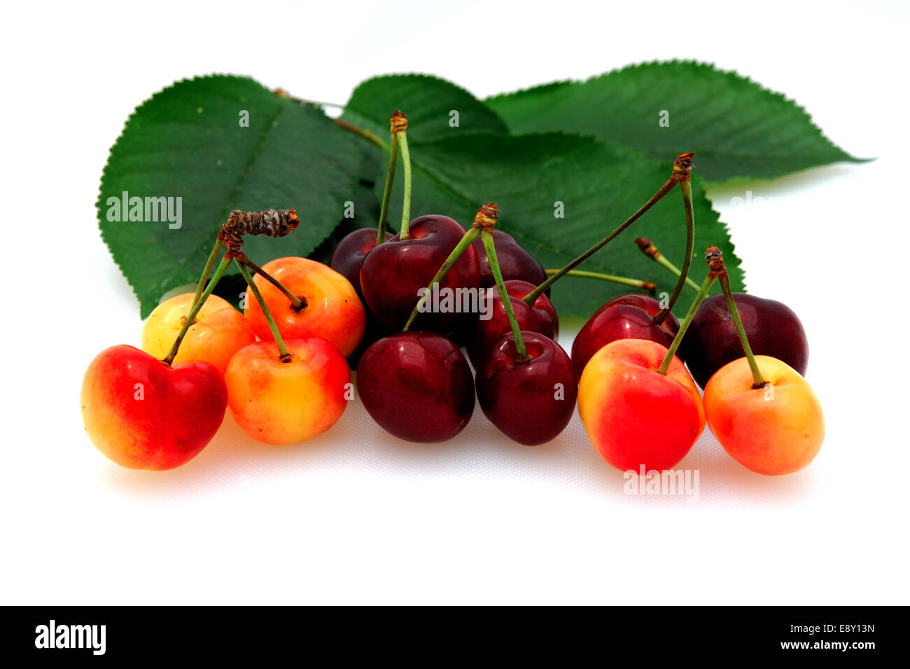 Bing And Rainier Cherries Stock Photo