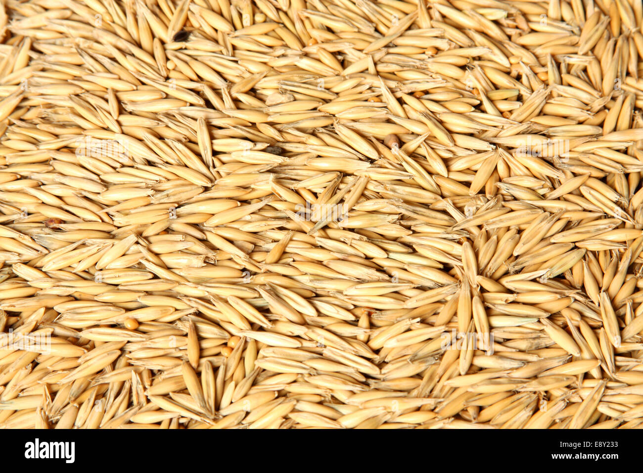 A Texture of oats seeds Stock Photo Alamy