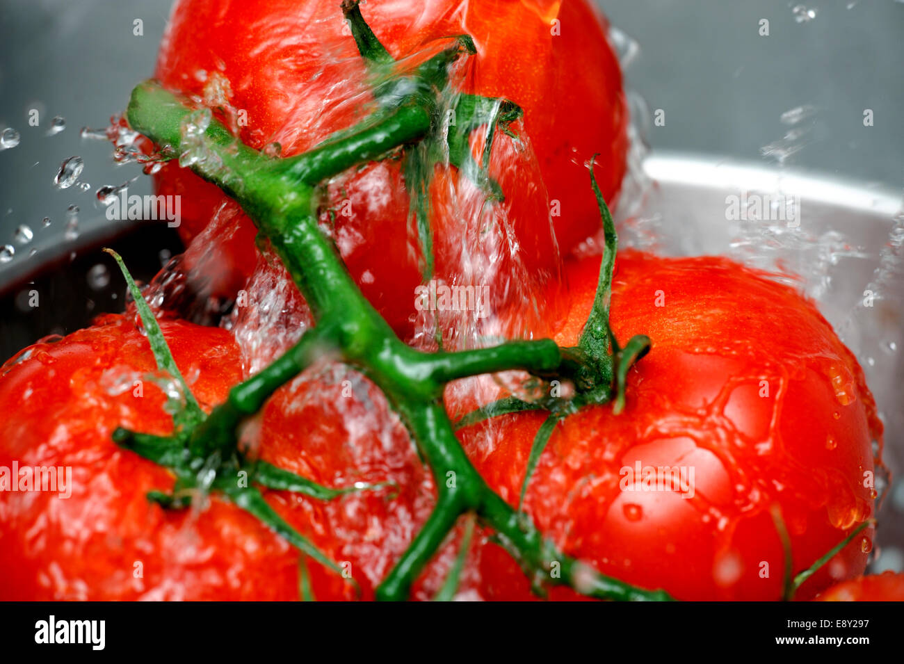 Rinsing Vine Ripened Tomato Stock Photo