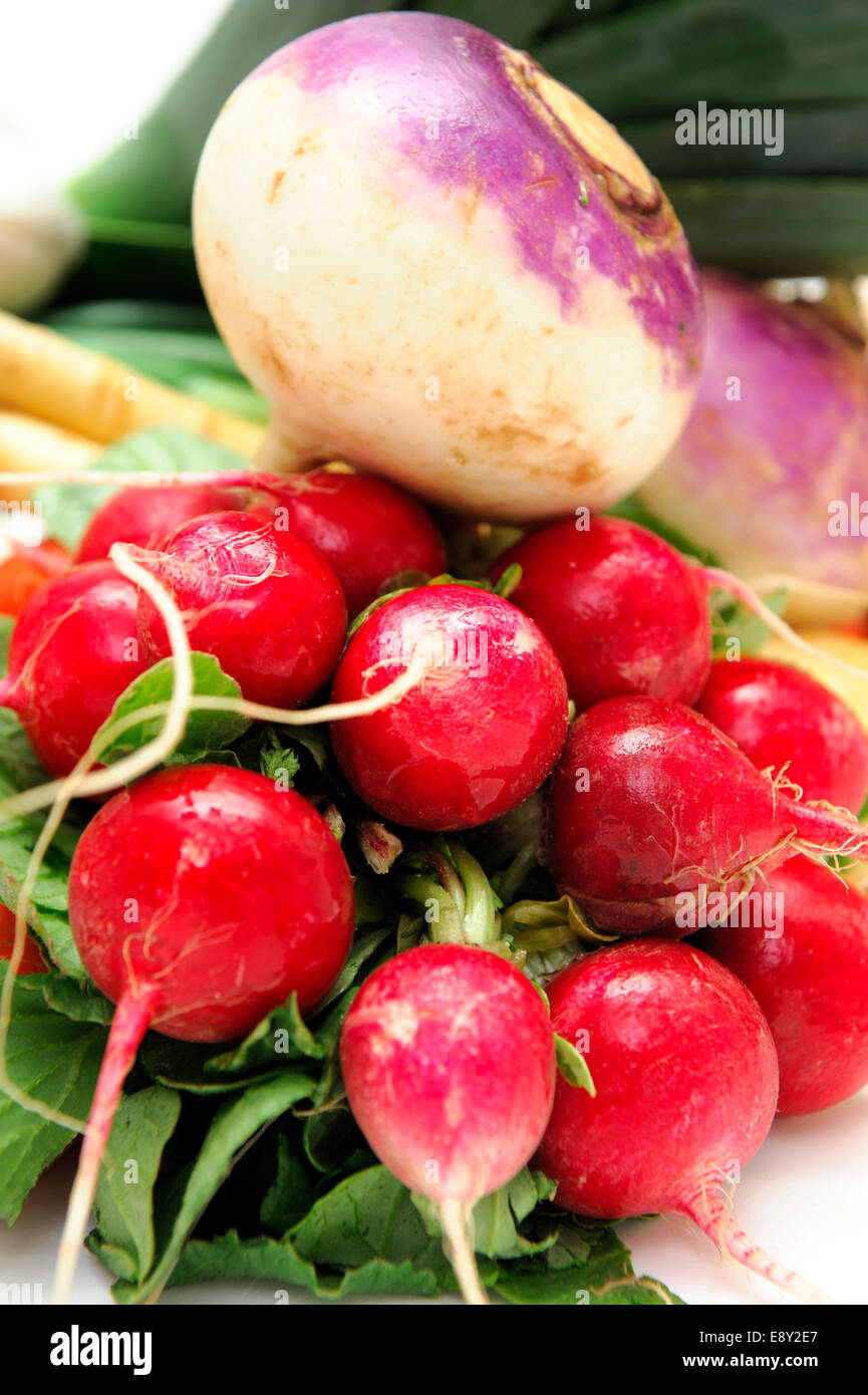 Root Vegetables Stock Photo
