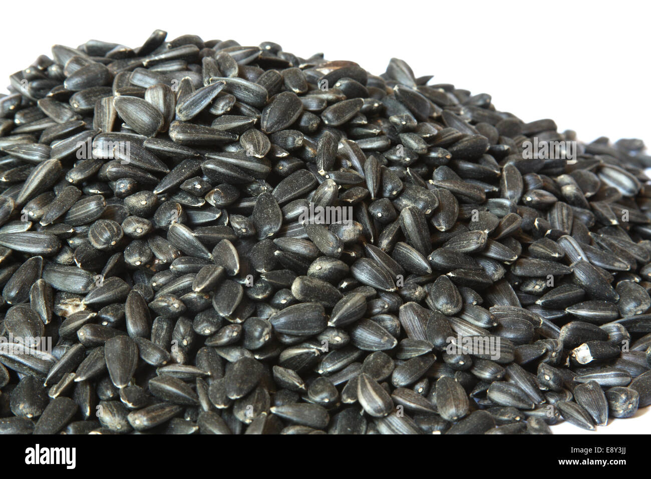 Pile of sunflower seeds. Closeup Stock Photo Alamy
