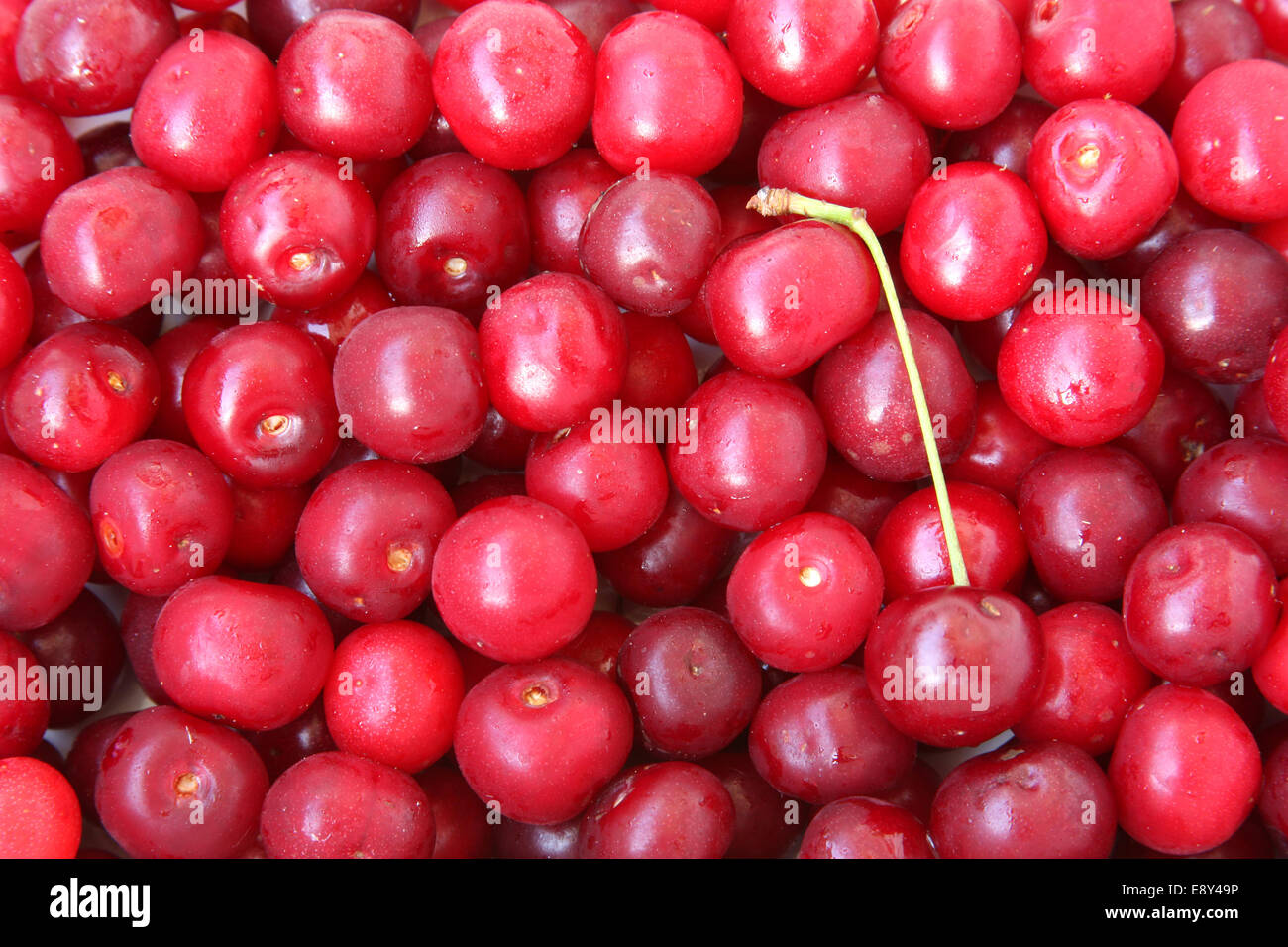 Background made from cherry Stock Photo
