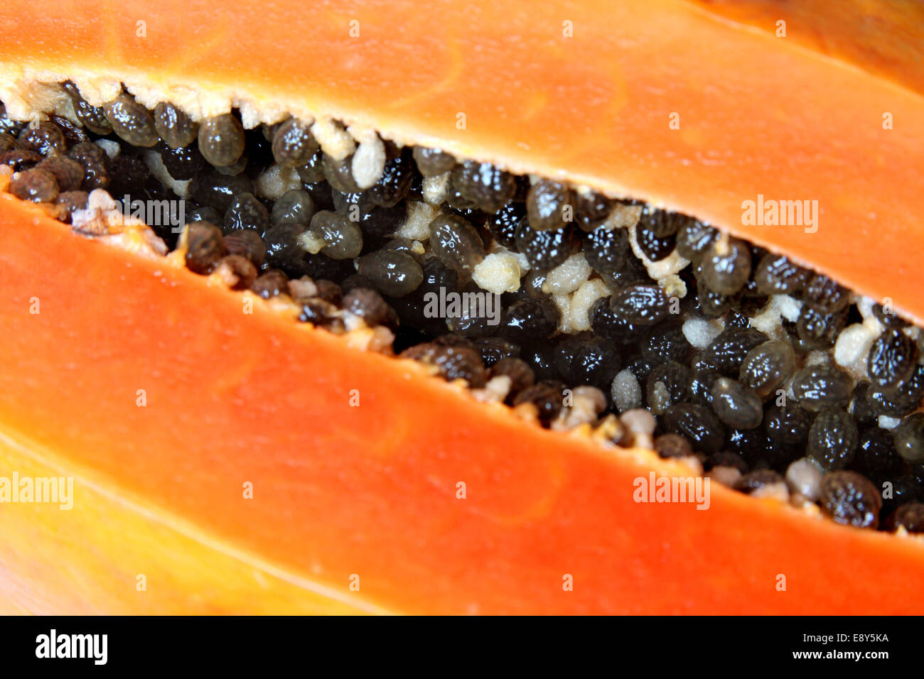 Close-up of bisected orange papaya Stock Photo