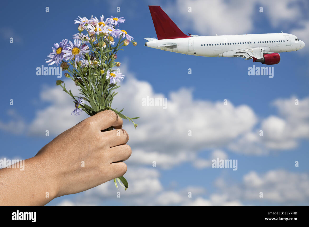 Blumen transport hires stock photography and images Alamy