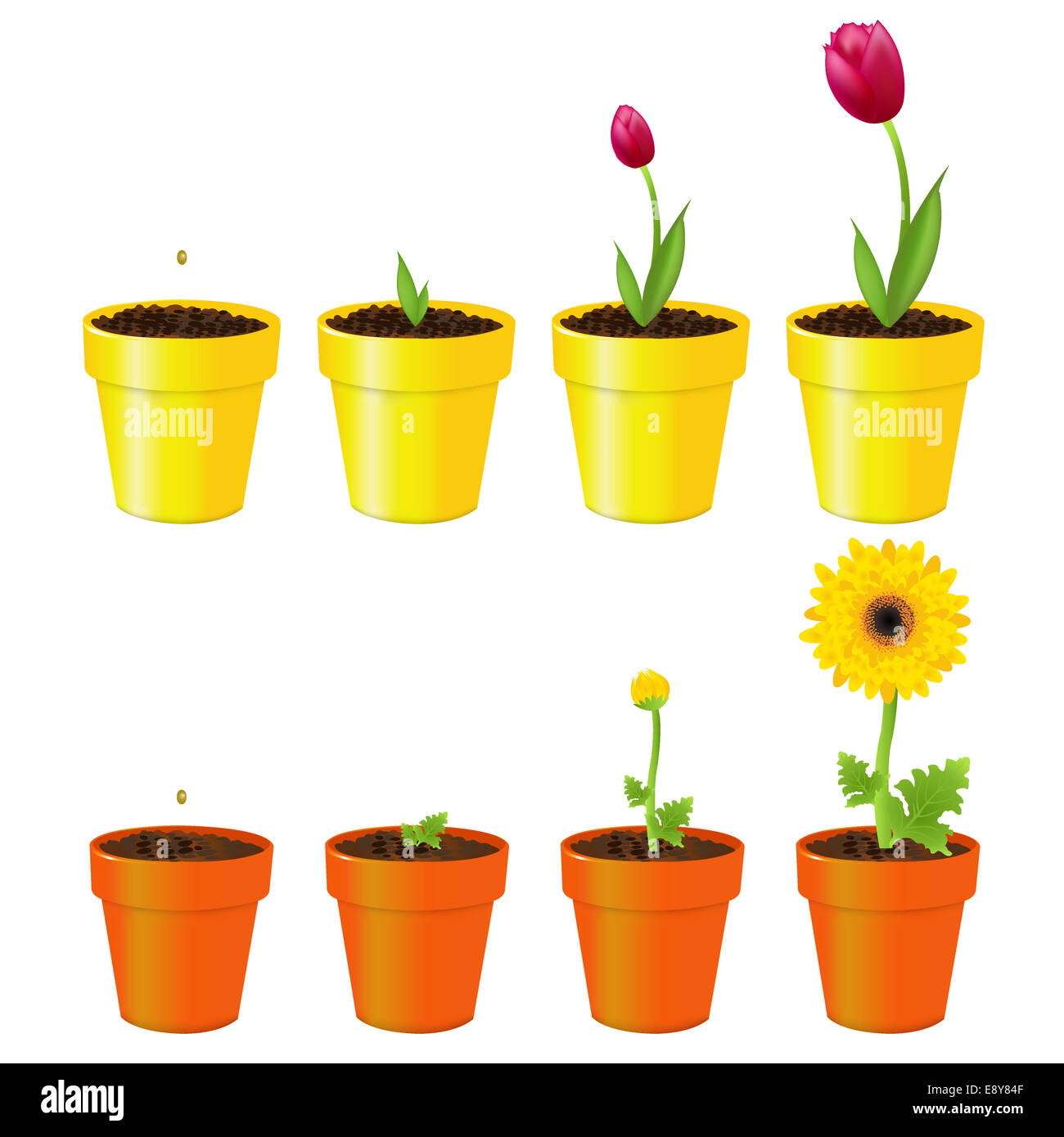 Flowers In Pots Stock Photo Alamy