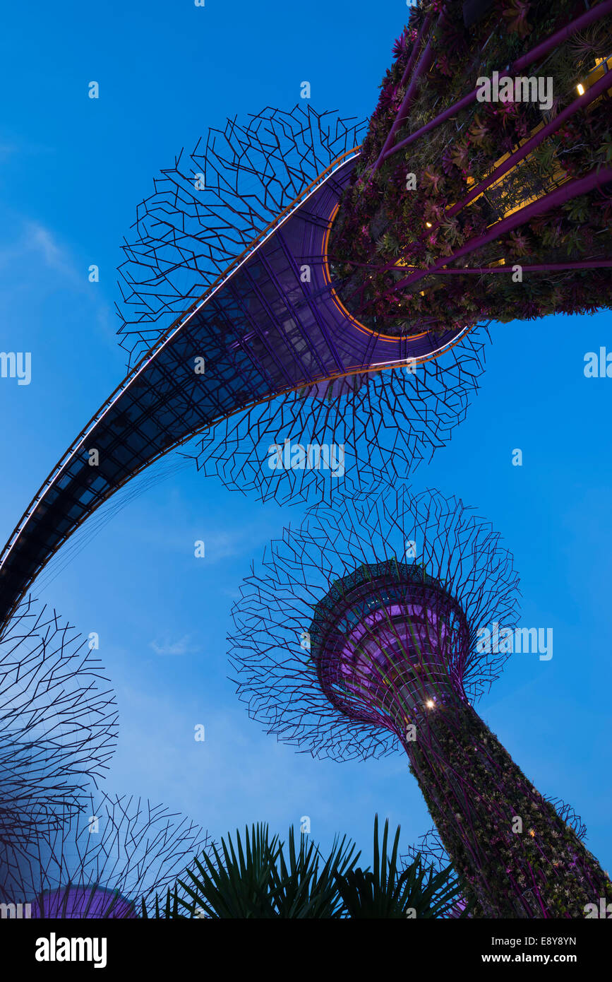 Gardens by the bay night hi-res stock photography and images - Alamy