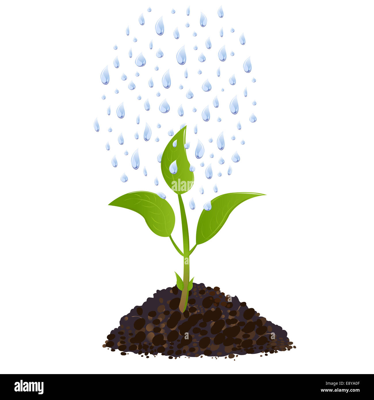 поливать сухую землю. дождь поливает землю. природа дождь. дождь почва. дождь в поле.