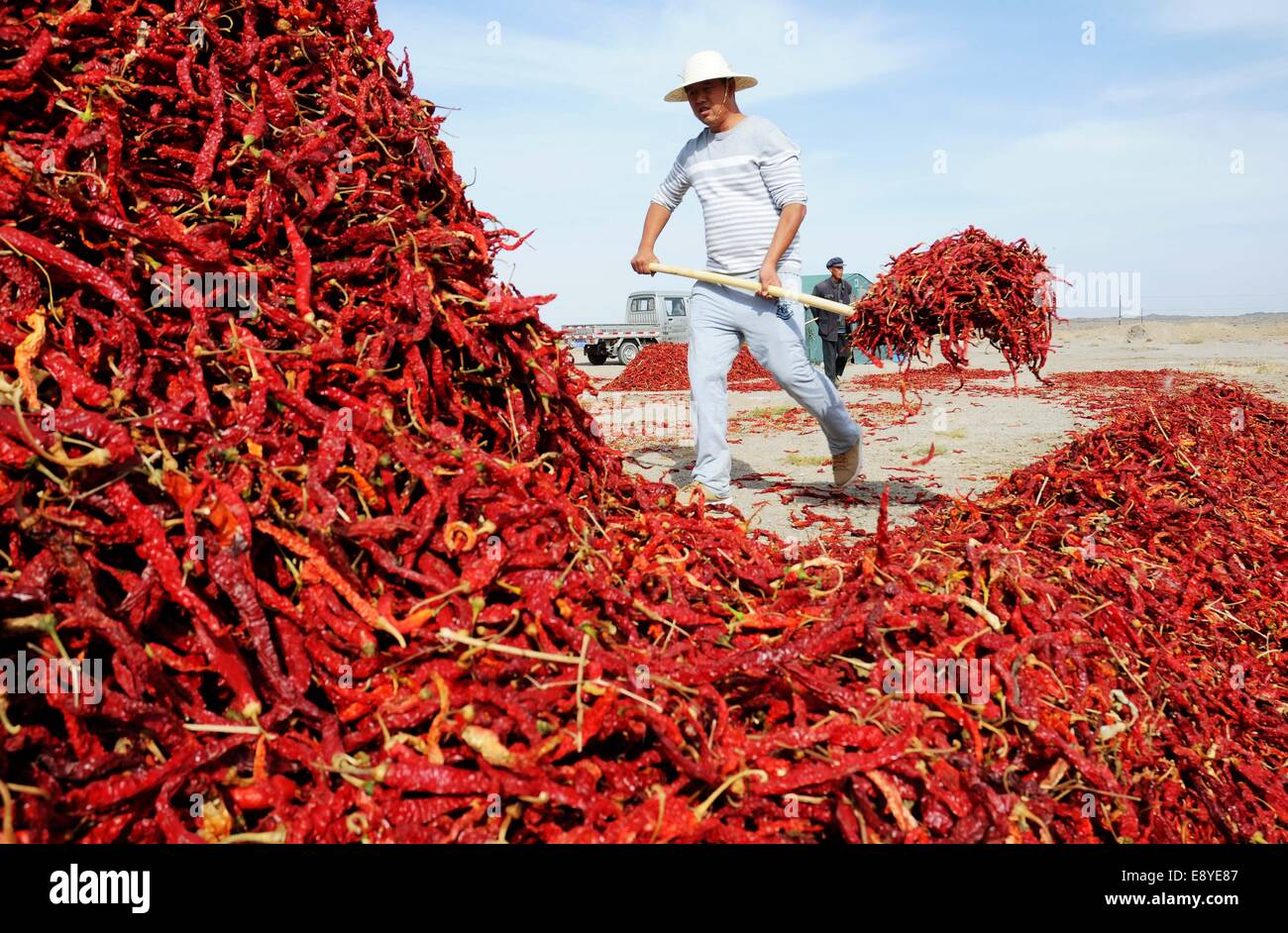 Piles of chillies hi-res stock photography and images - Alamy