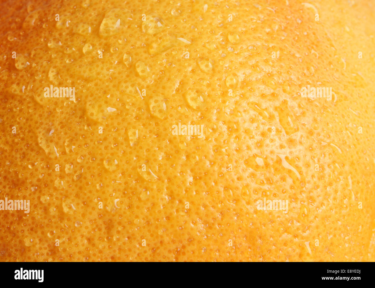 Water drops on grapefruit rind Stock Photo Alamy