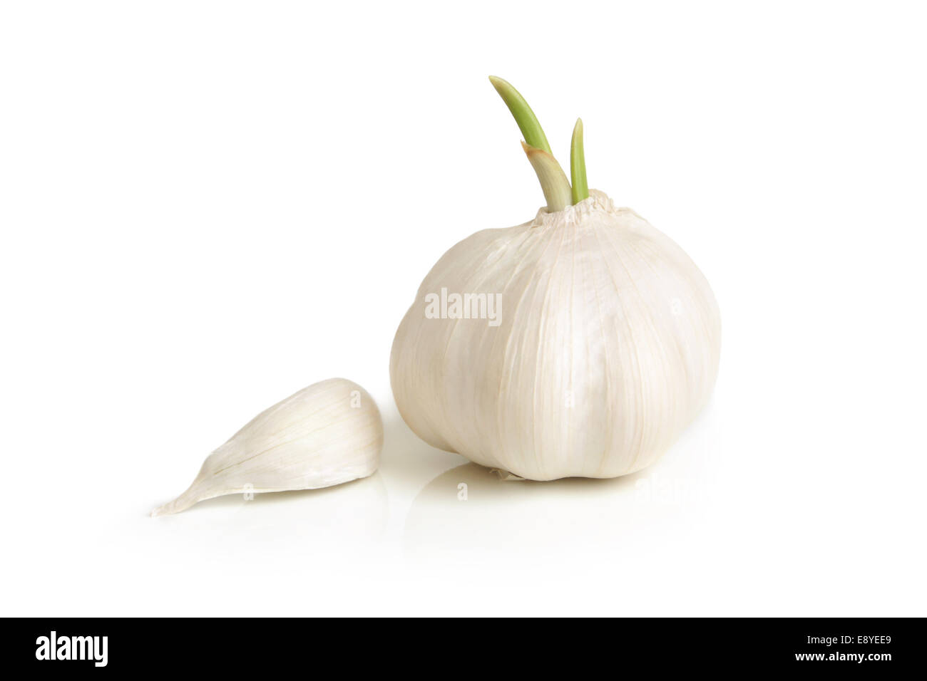 Clove and bulb of garlic Stock Photo Alamy