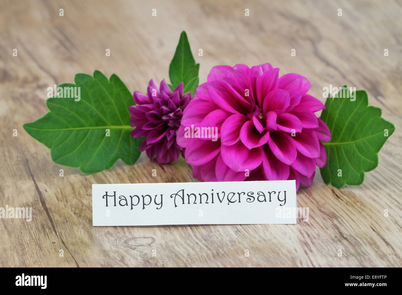 Happy anniversary card with purple dahlia flower Stock Photo - Alamy