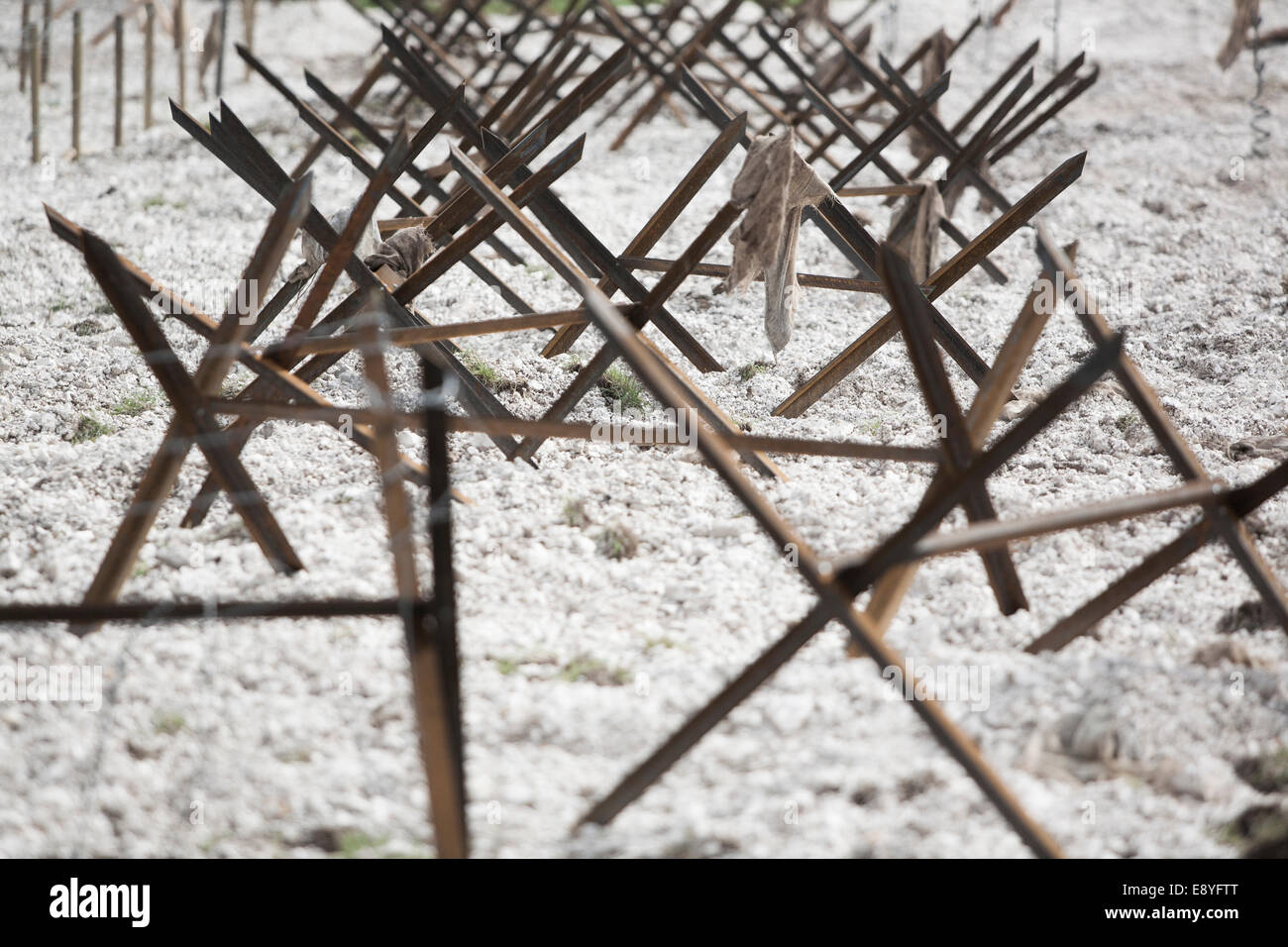 WW1 recreation of no mans land defenses wood and metal posts with barbed wire, a piece of clothing hangs from the barbed wire Stock Photo