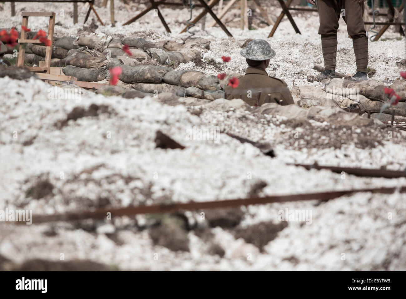 A WW1 British soldier in period uniform and Tin hat standing in a recreation trench with sand bags and red poppies. Stock Photo