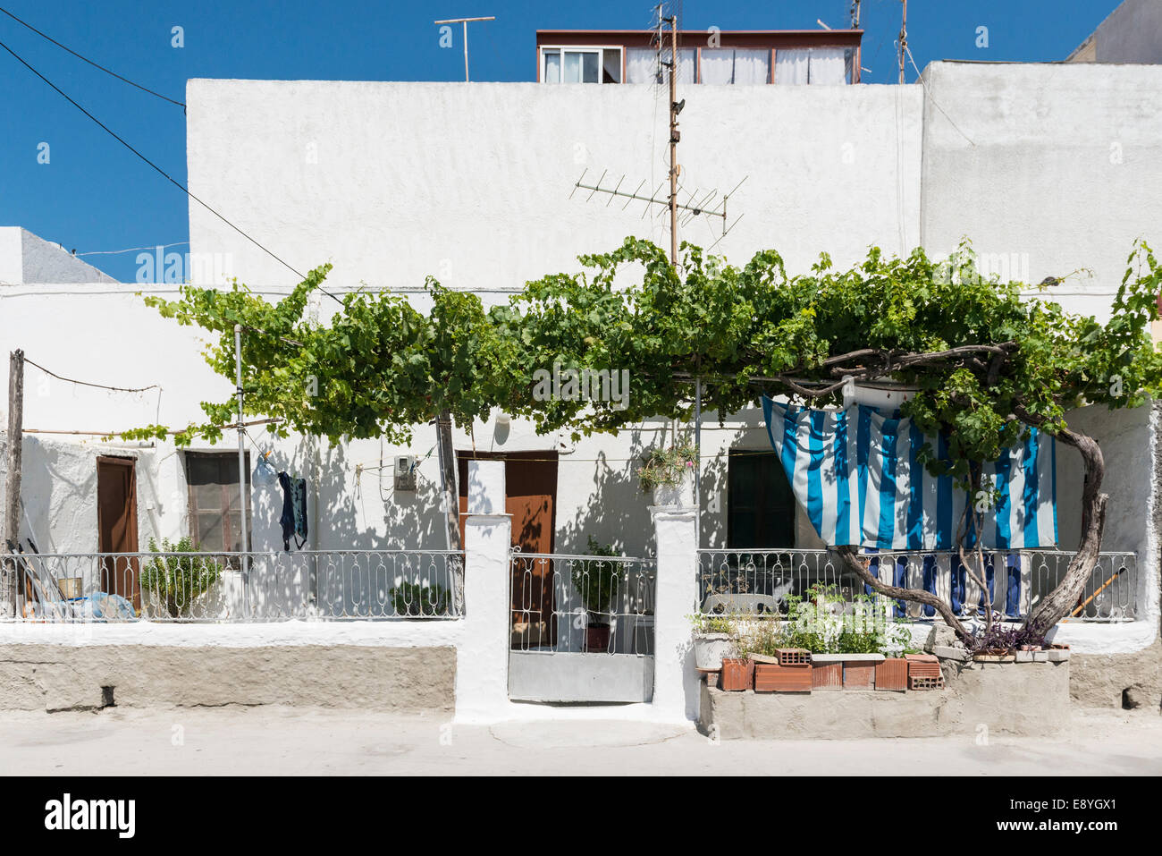 Vine growing in front of a typical house house in Mastichari, Kos, Greece Stock Photo