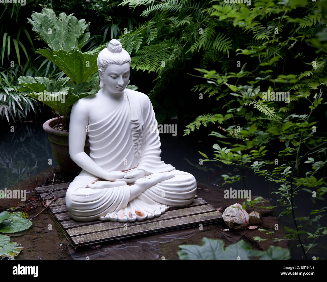 Buddha statue in pond Stock Photo Alamy