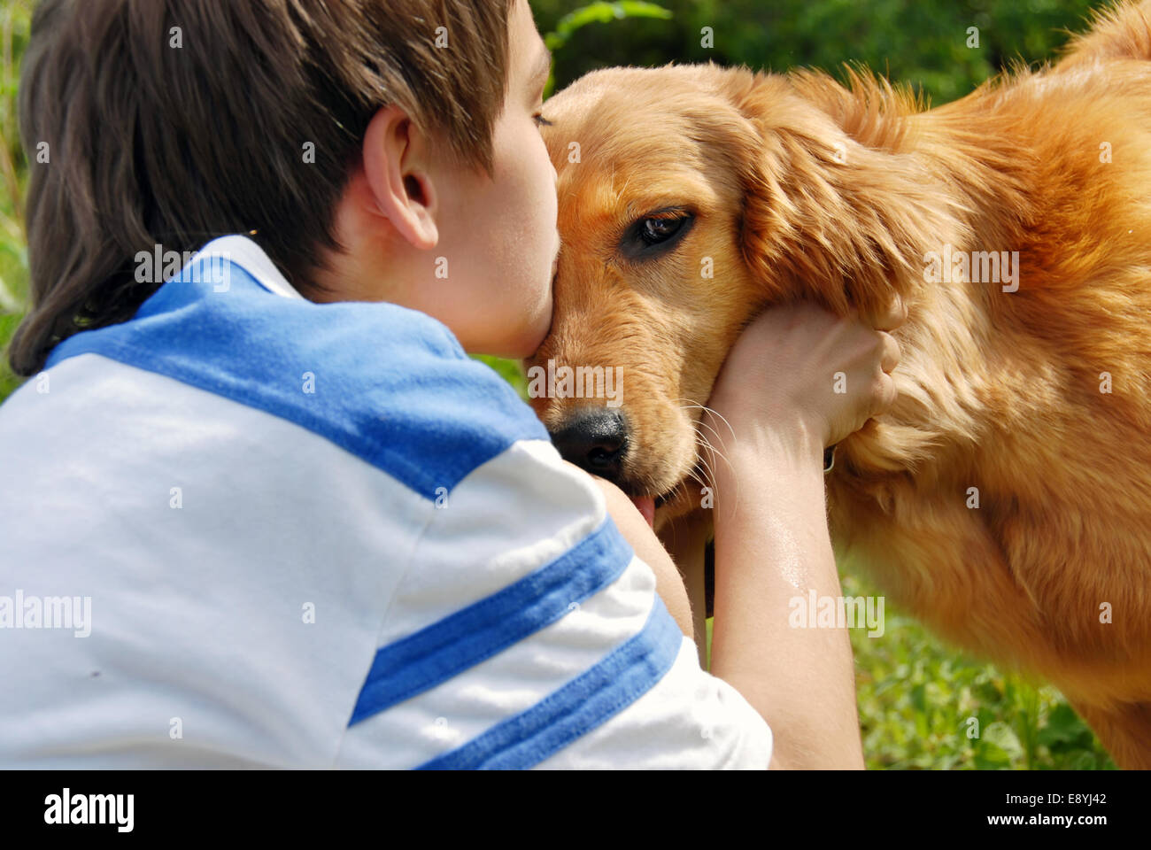 Boy kissing dog Stock Photo Alamy