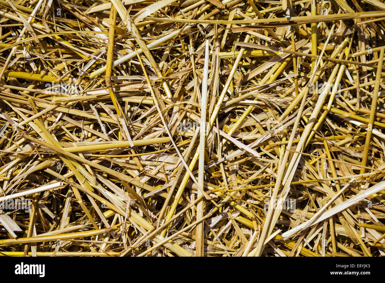 Clean straw hi-res stock photography and images - Alamy