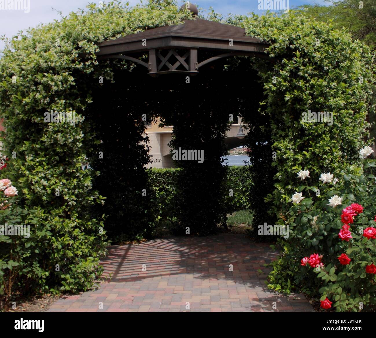 gazebo covered by vines and flowers Stock Photo Alamy