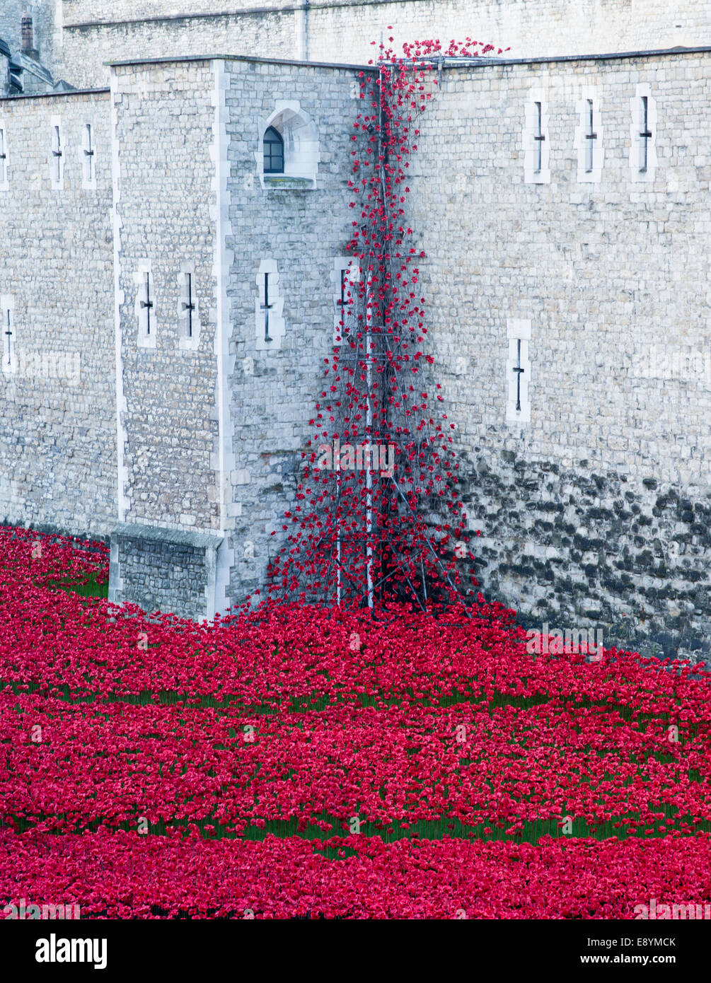 October 2014: 'Blood Swept Lands and Seas of Red' by Paul Cummings. Red poppies bleed into the moat at the Tower of London. Stock Photo