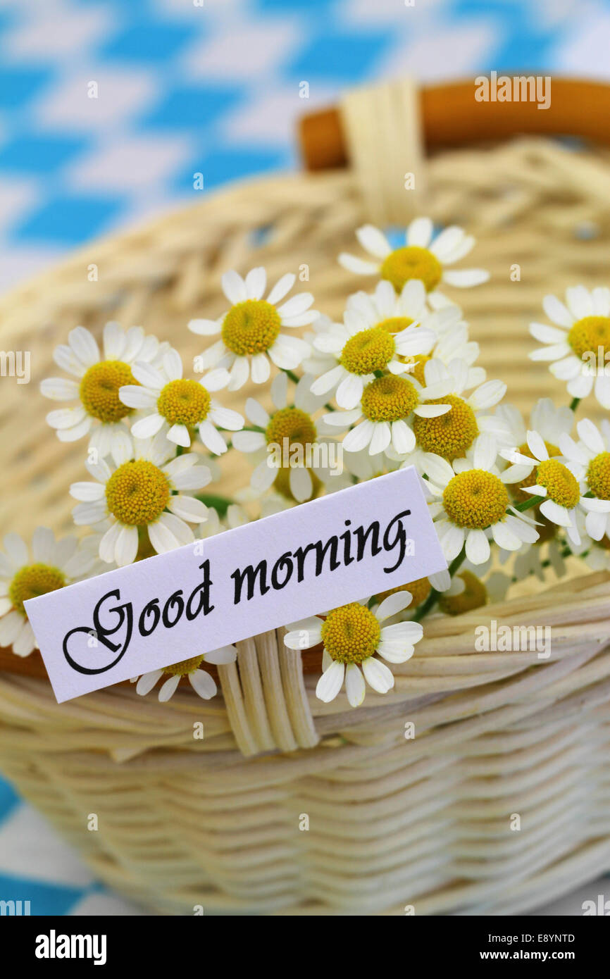 Good morning card with chamomile flowers in wicker basket Stock ...