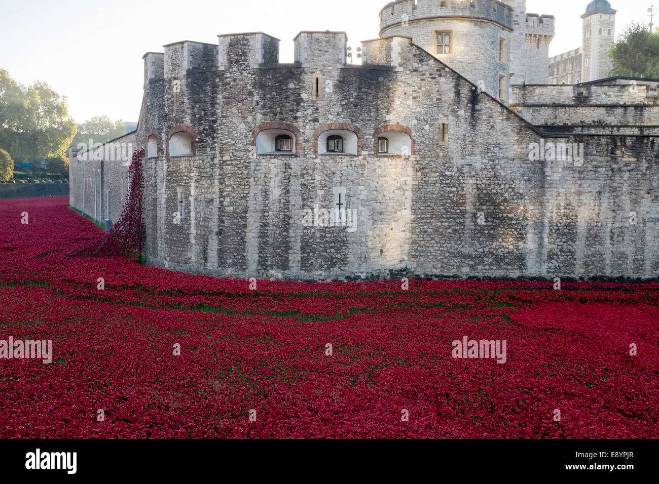 October 2014: "Blood Swept Lands and Seas of Red" by Paul Cummings. Red poppies bleed into the moat at the Tower of London. Stock Photo