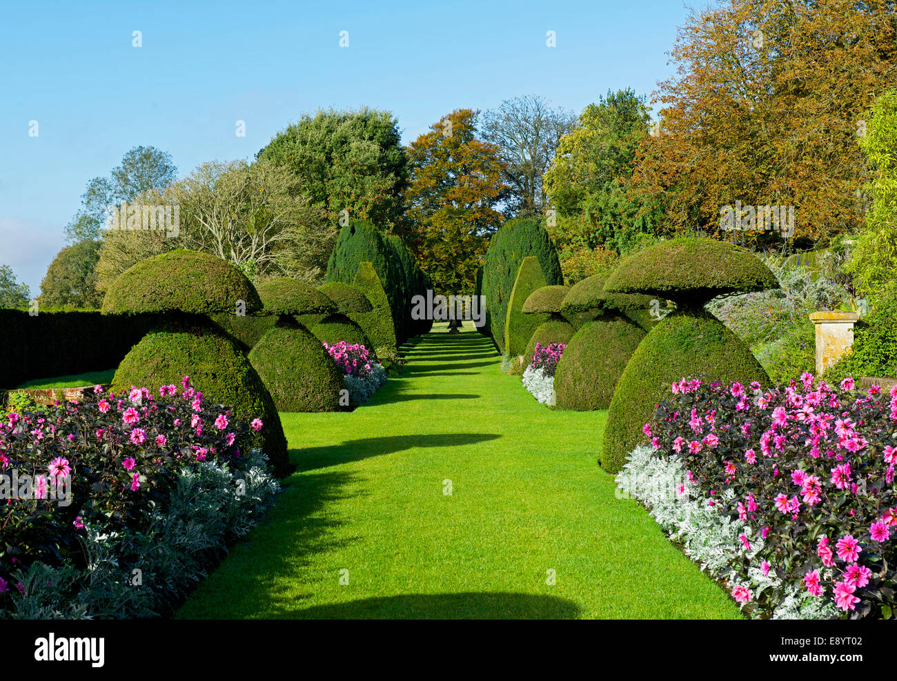 Topiary gardens at Hinton Ampner, a stately home near Alresford