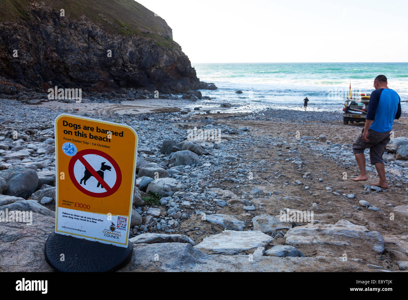Dogs are banned on this beach sign symbol Porth Chapel Cornwall UK
