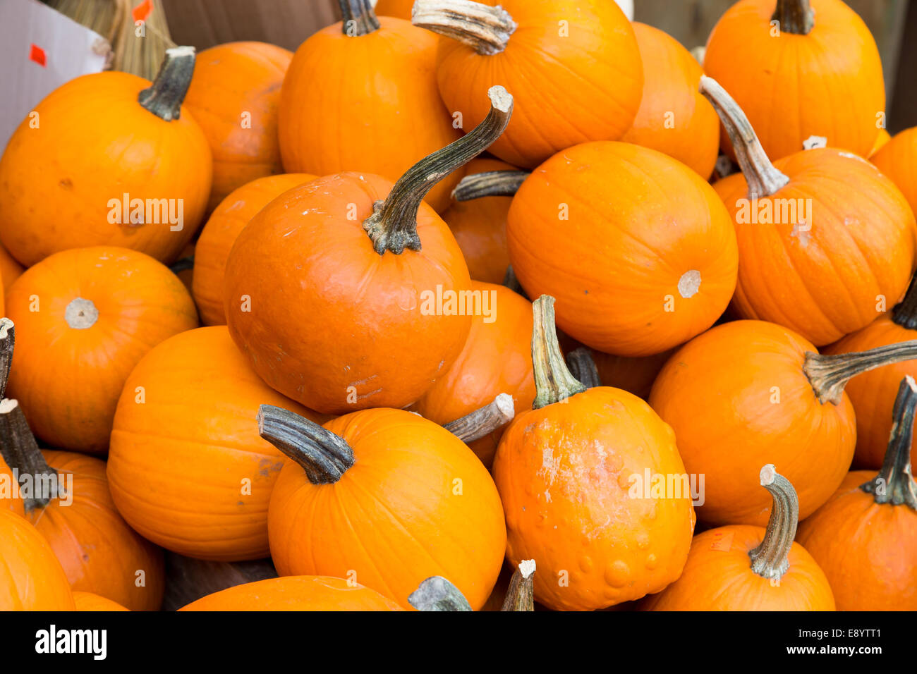 Pumpkins at a market stall Stock Photo - Alamy