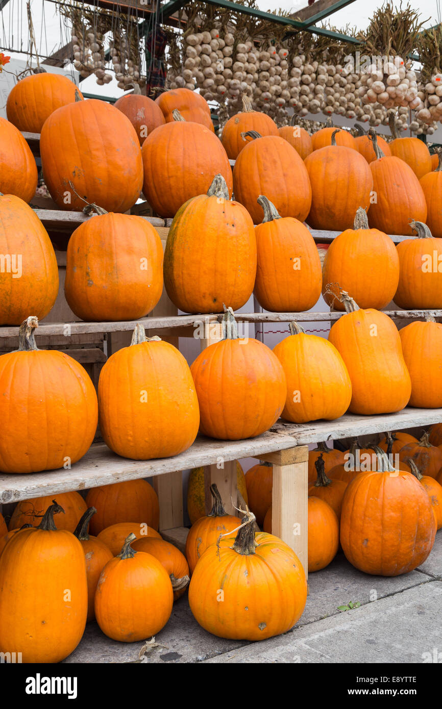 Pumpkins at a market stall Stock Photo - Alamy