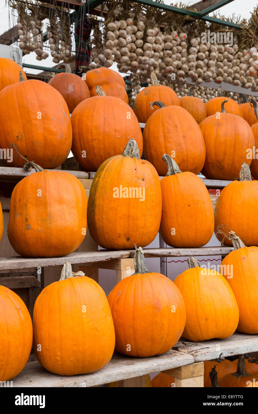 Pumpkins at a market stall Stock Photo - Alamy